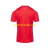 Maillot de Foot Maroc Domicile 2023